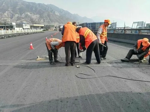 鸡冠道路桥梁病害治理